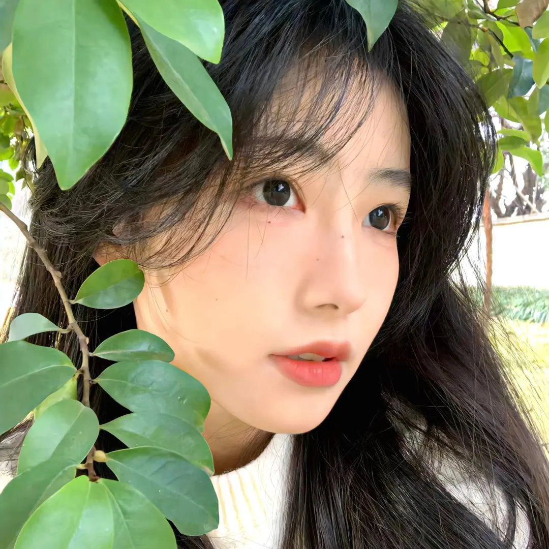 浪漫俏娇娃